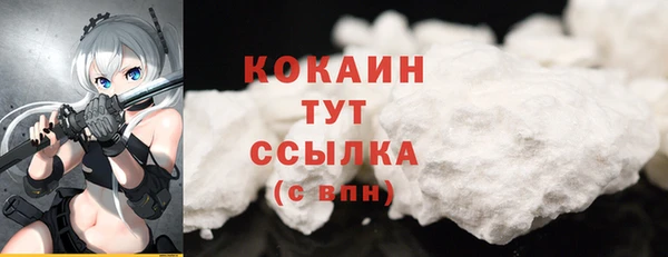 дживик Аркадак