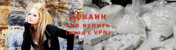 дживик Аркадак