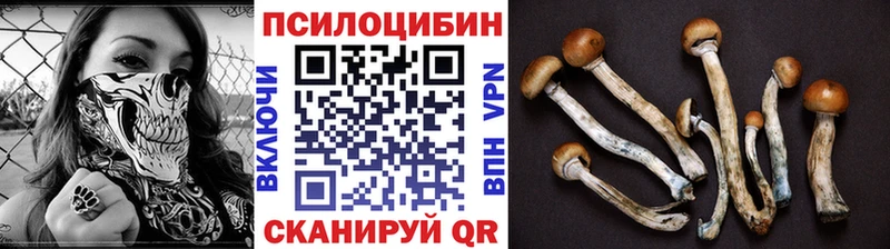 Псилоцибиновые грибы Magic Shrooms  Армянск 
